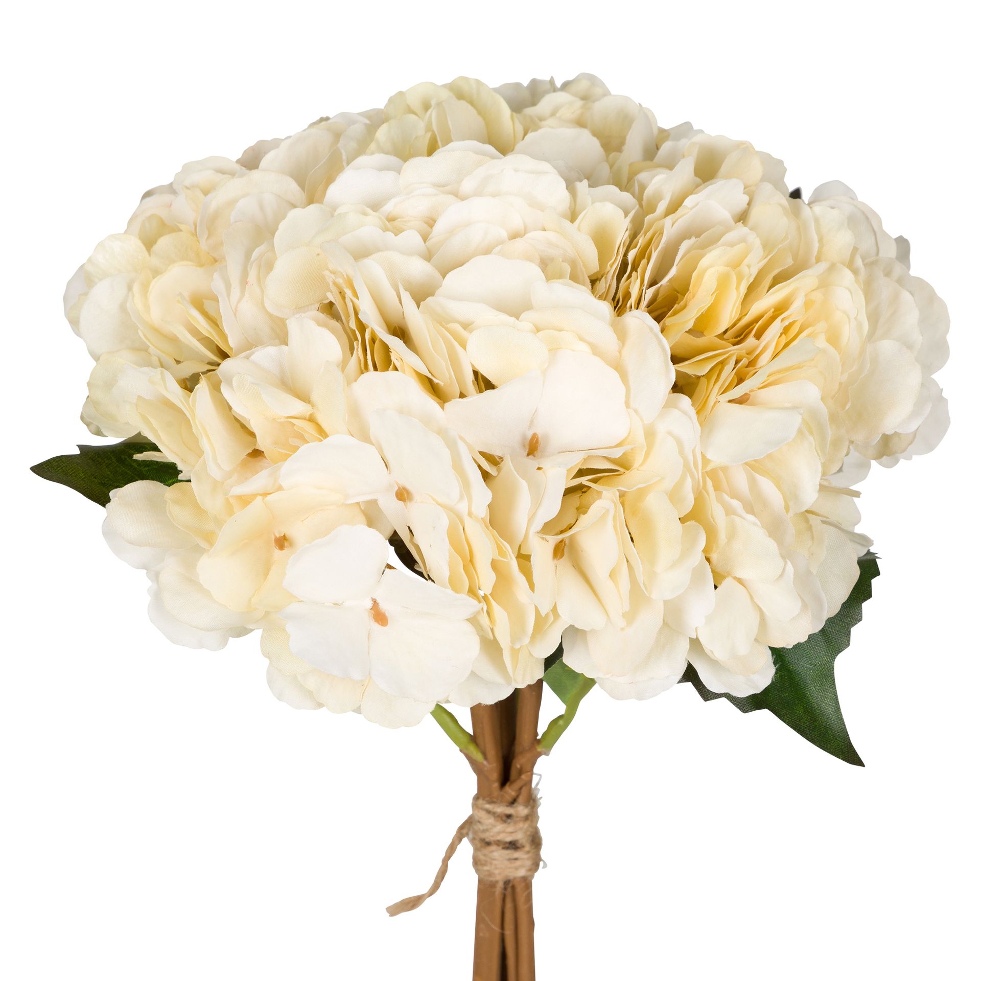 CLARA-CREAM-CLARA_ST1