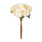 CLARA-CREAM-CLARA_ST0