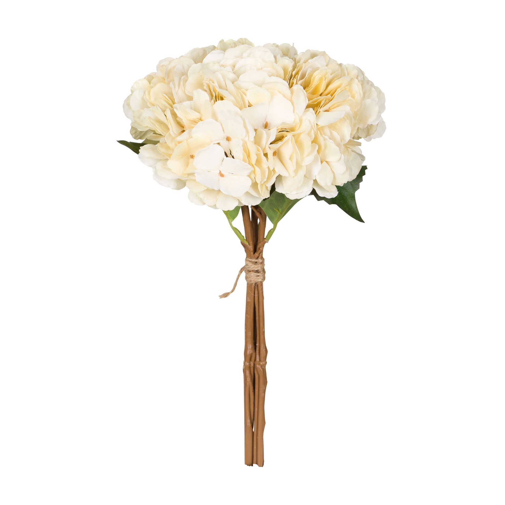 CLARA-CREAM-CLARA_ST0