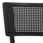 COM-PALHINHA-ARES-PRETO-PRETO-ARES_ST6