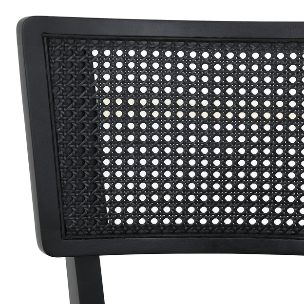 COM-PALHINHA-ARES-PRETO-PRETO-ARES_ST6