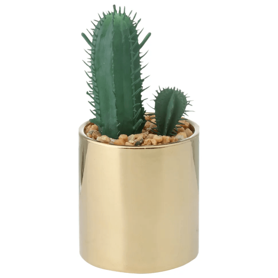 ARRANJO-RIQUEZ-CACTO-CEREUS-OURO-VERDE-RIQUEZ_ST0