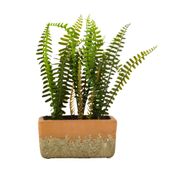 SAMAMBAIA-KERAMOS-VERDE-TERRACOTA-K-RAMOS_ST0