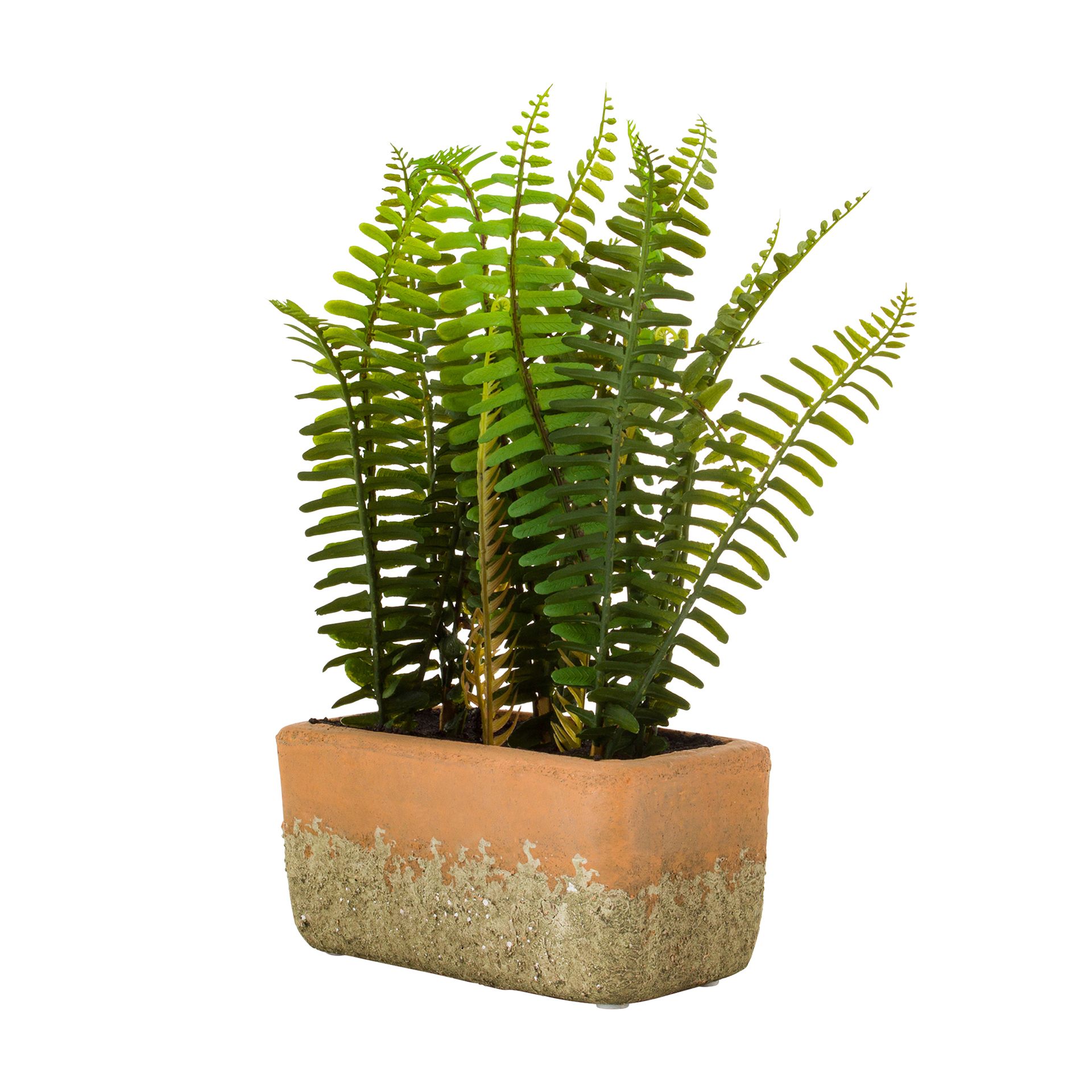 SAMAMBAIA-KERAMOS-VERDE-TERRACOTA-K-RAMOS_ST1