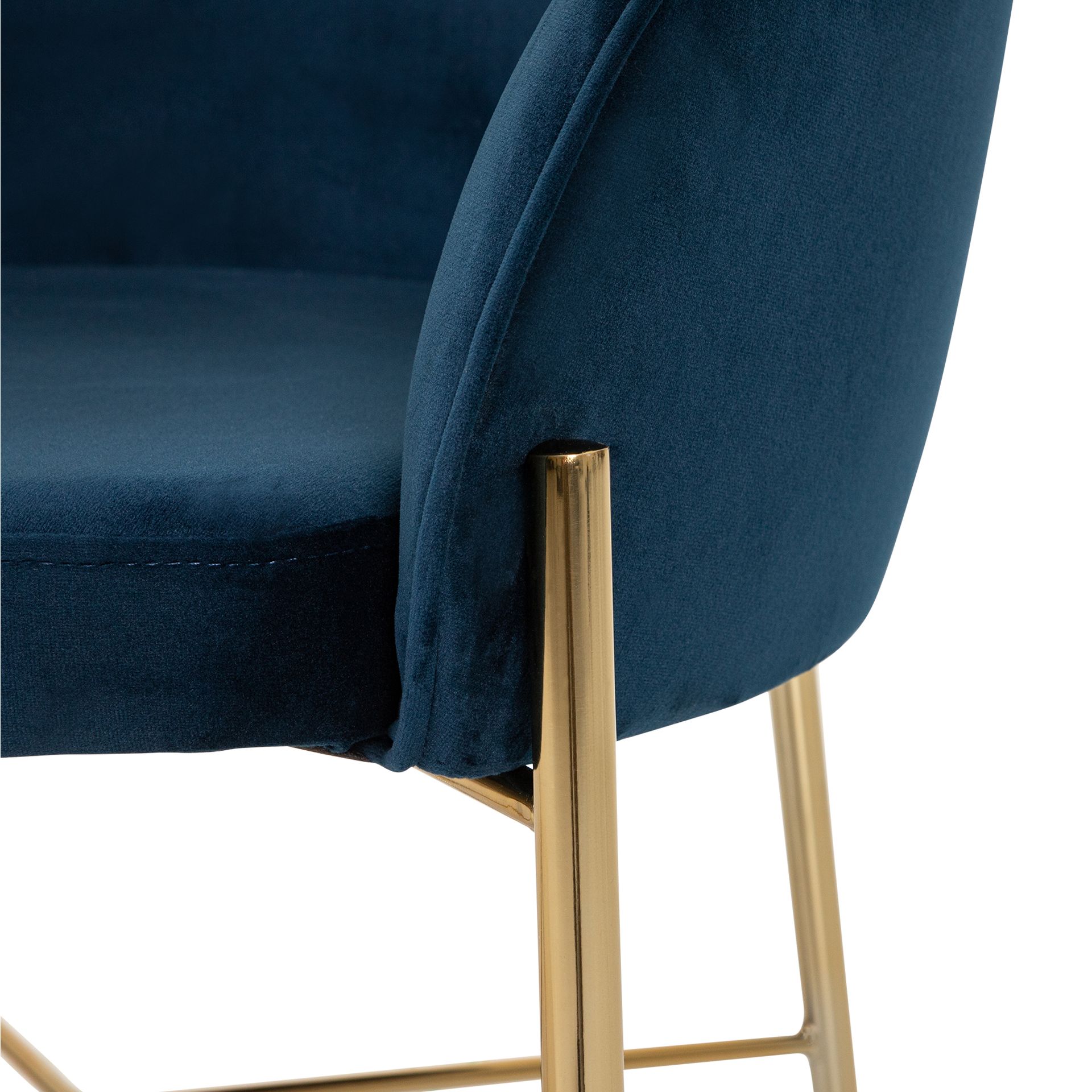 DAISY-OURO-GALAXY-BLUE-DAISY_ST4