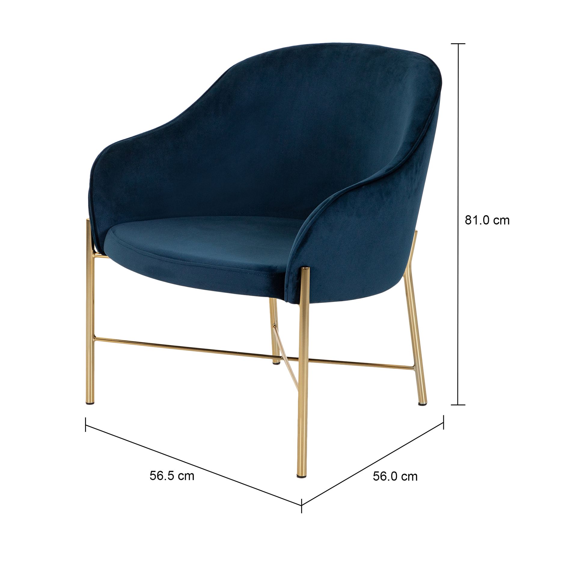 DAISY-OURO-GALAXY-BLUE-DAISY_MED1