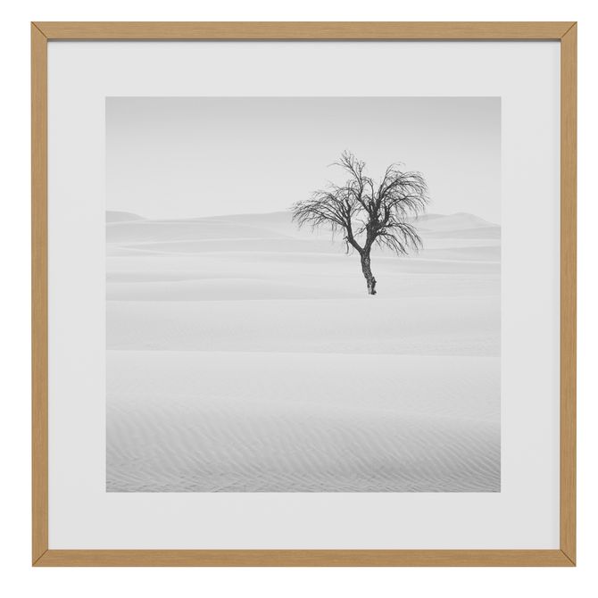 Quadro 42 Cm X 42 Cm Signs Of Life Iii