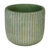 12-CM-RIPSALIS-S-LVIA-RIPS-LIS_ST0