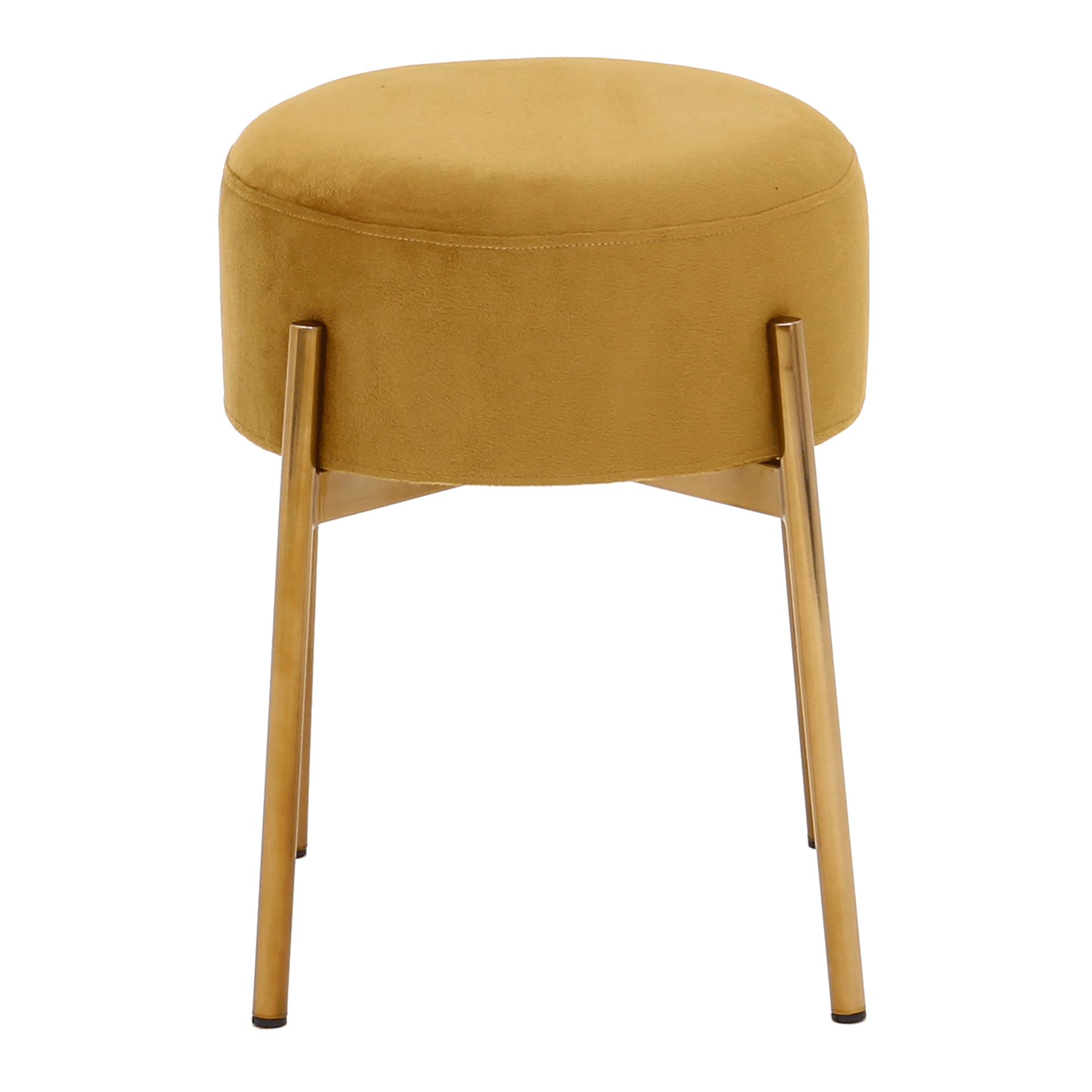 BAIXO-DAISY-OURO-DOURO-DAISY_ST1