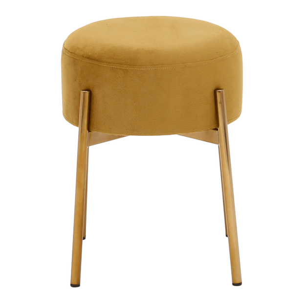 BAIXO-DAISY-OURO-DOURO-DAISY_ST1