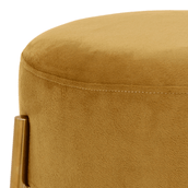 BAIXO-DAISY-OURO-DOURO-DAISY_ST2