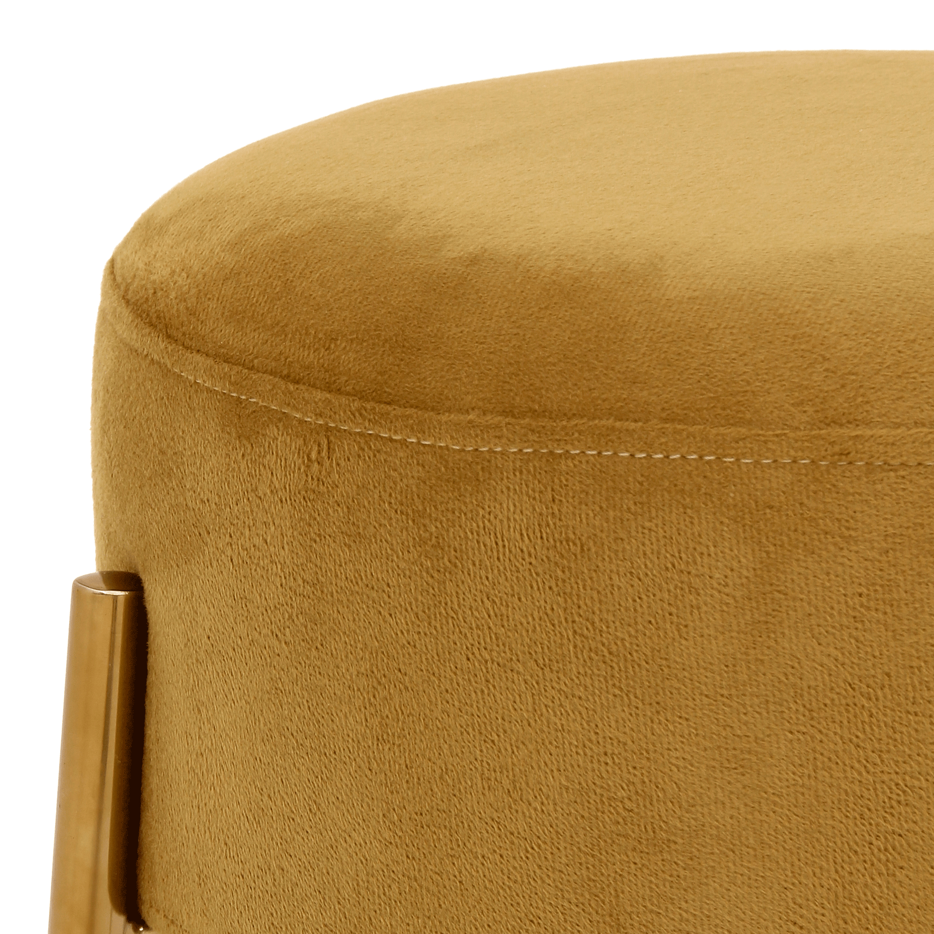 BAIXO-DAISY-OURO-DOURO-DAISY_ST2