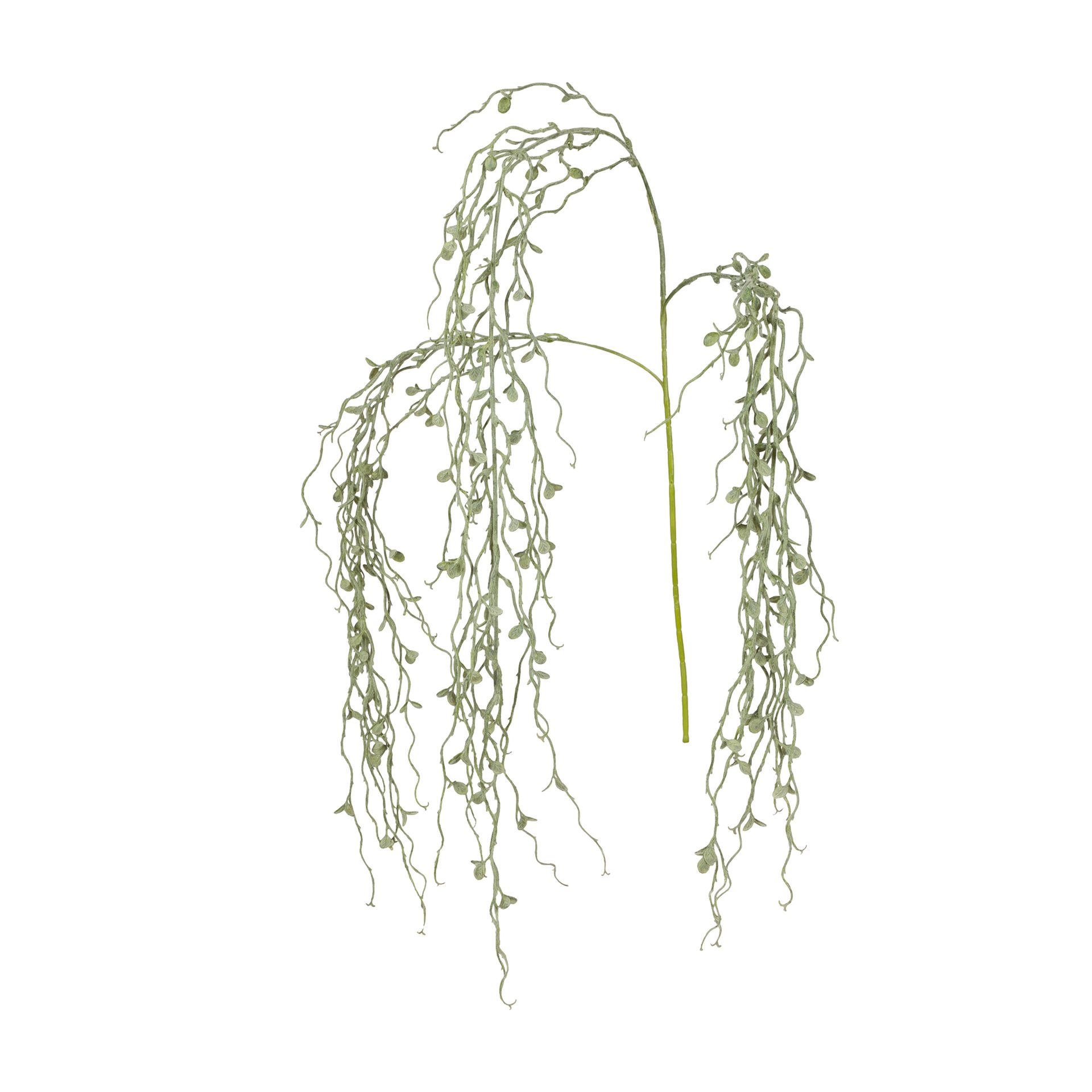 MUGELLO-VERDE-MUGELLO_ST0