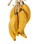 CACHO-DE-BANANAS-AMARELO-NATURAL-CACHO_ST1