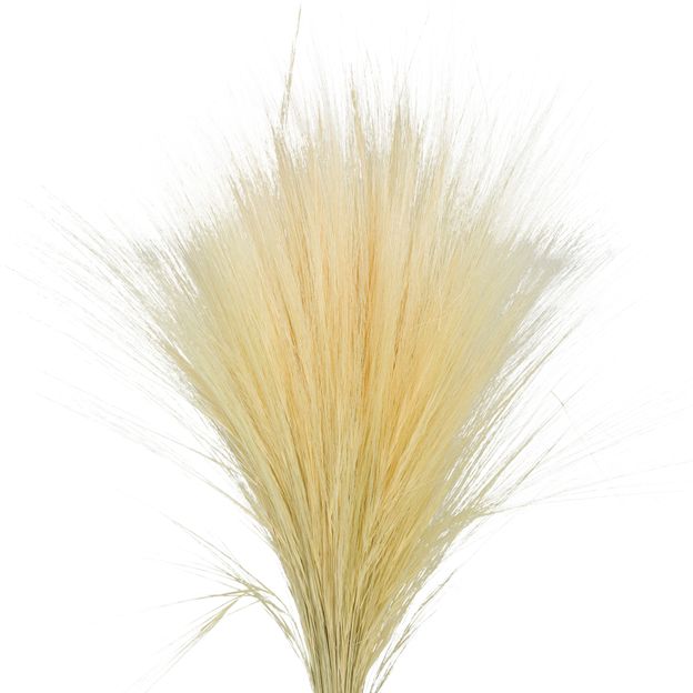 SECO-FOLHAGEM-NATURAL-CAPIM-SECO_ST1