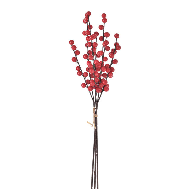 DECORATIVO-63-CM-HOHO-HOME-MARROM-VERMELHO-HOHO-HOME_ST0