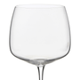 GIN-BORGONHA-660-ML-ELYSI-TITAN-INCOLOR-ELYSI-TITAN_ST2