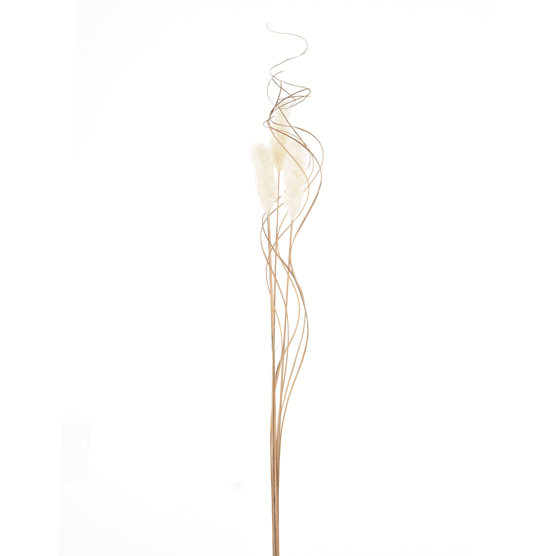 DE-PEIXE-PANAMA-BOUQUET-C-3-FIBRA-CLARA-BRANCO-ESCAMA-DE-PEIXE_ST0