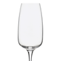CHAMPANHE-290-ML-ELYSI-TITAN-INCOLOR-ELYSI-TITAN_ST2