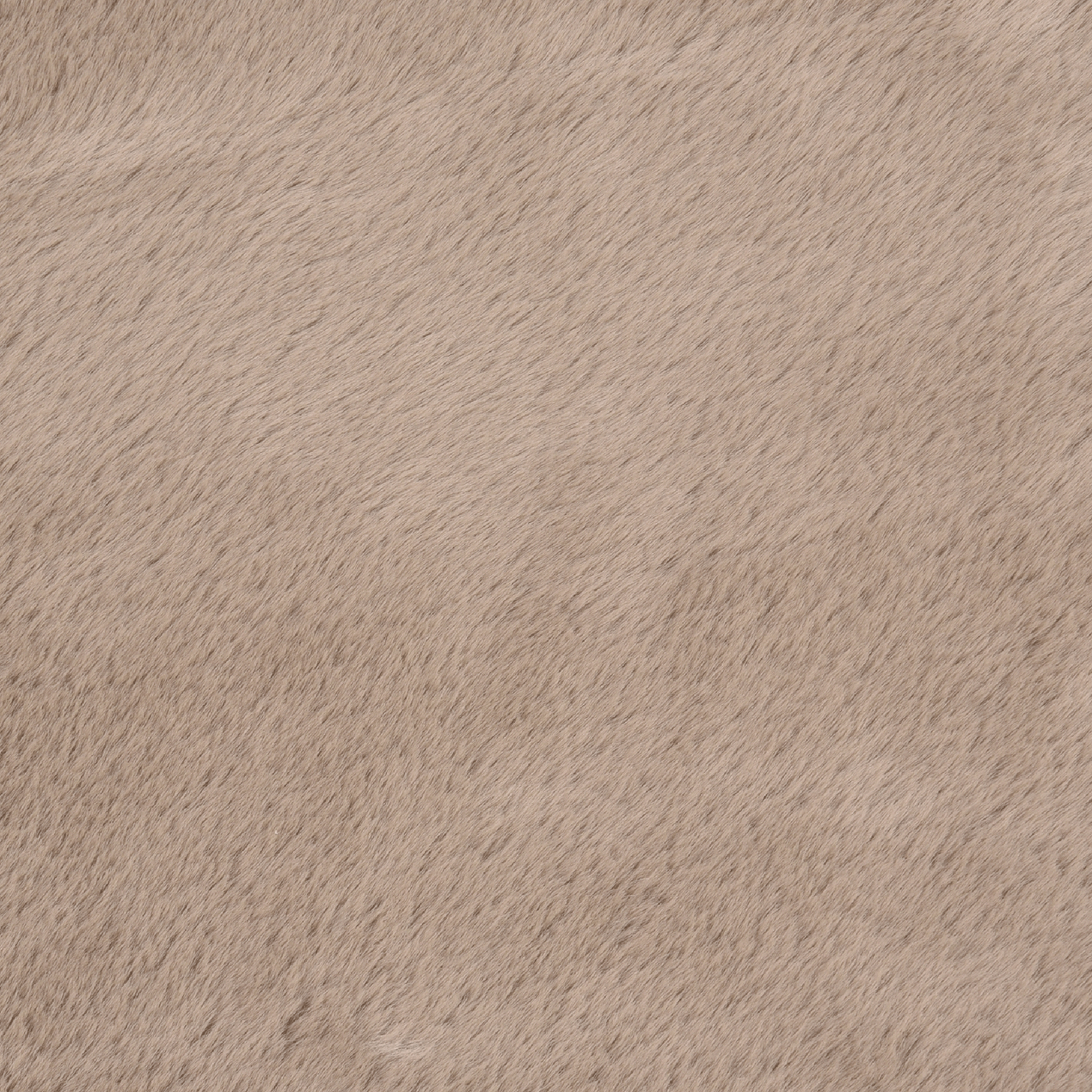 140-M-X-2-M-MELODY-CAMELO-MELODY_ST4