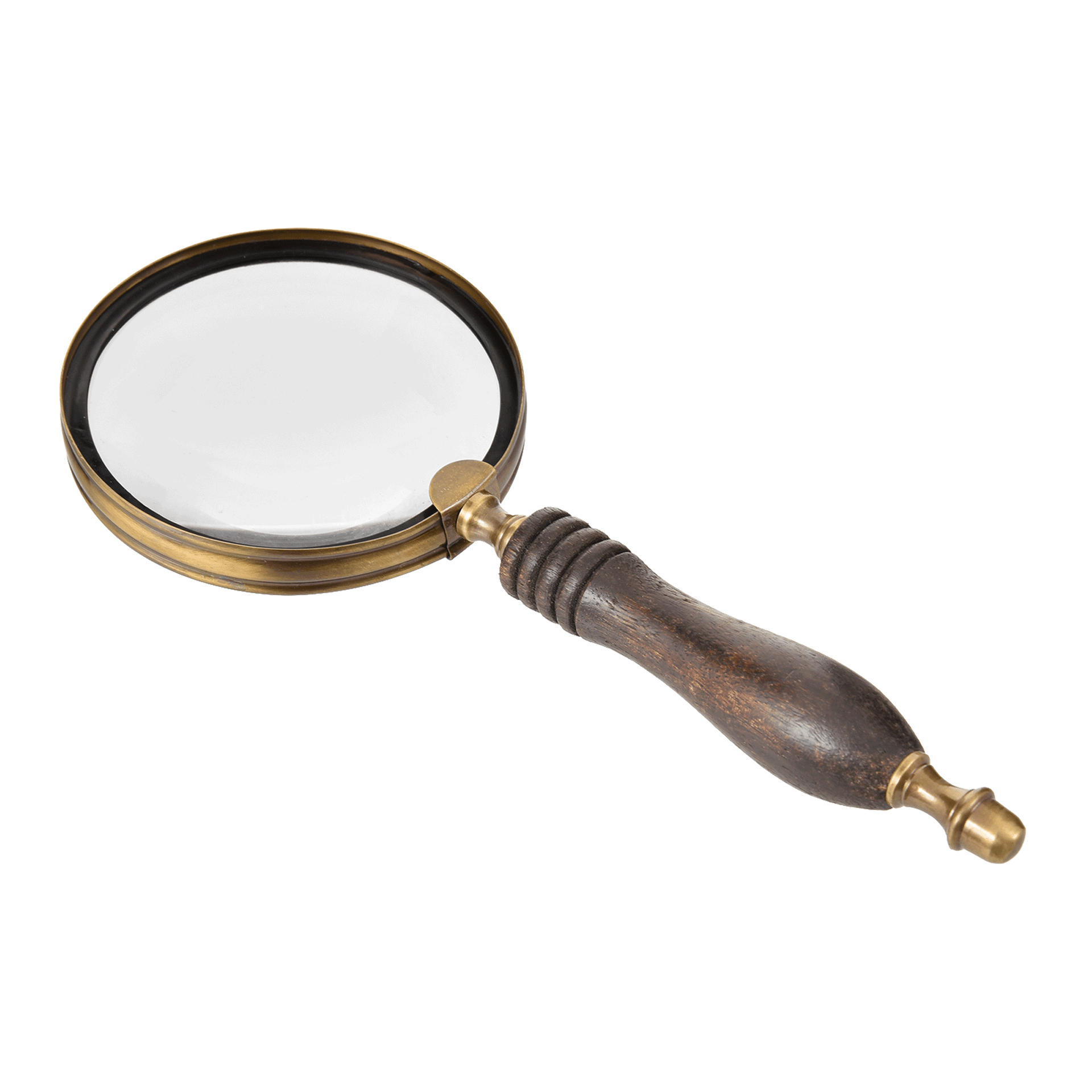 25-CM-ADVENTURES-LUPA-ENCERADO-CASTANHO-OURO-VELHO-ADVENTURES_ST1