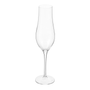 CHAMPANHE-300-ML-CHAILLOT-TITAN-INCOLOR-CHAILLOT-TITAN_ST1