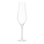 CHAMPANHE-300-ML-CHAILLOT-TITAN-INCOLOR-CHAILLOT-TITAN_ST0