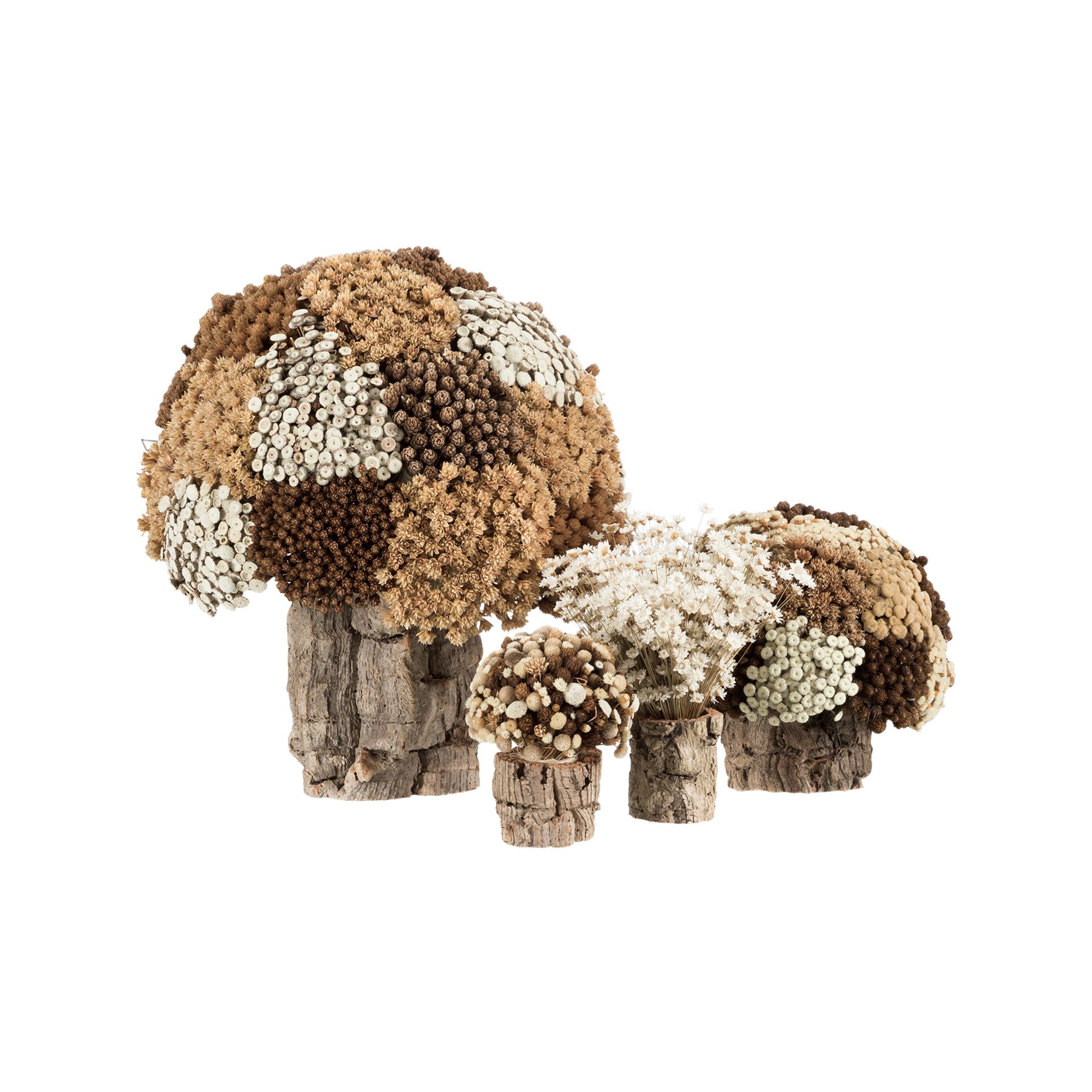 GALHEIROS-SEMPRE-VIVA-ARRANJO-FIBRA-CLARA-FIBRA-CASTANHA-GALHEIROS-ST4