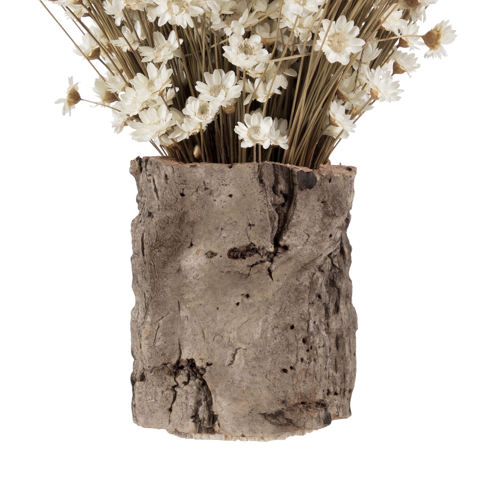 GALHEIROS-SEMPRE-VIVA-ARRANJO-FIBRA-CLARA-FIBRA-CASTANHA-GALHEIROS-ST3