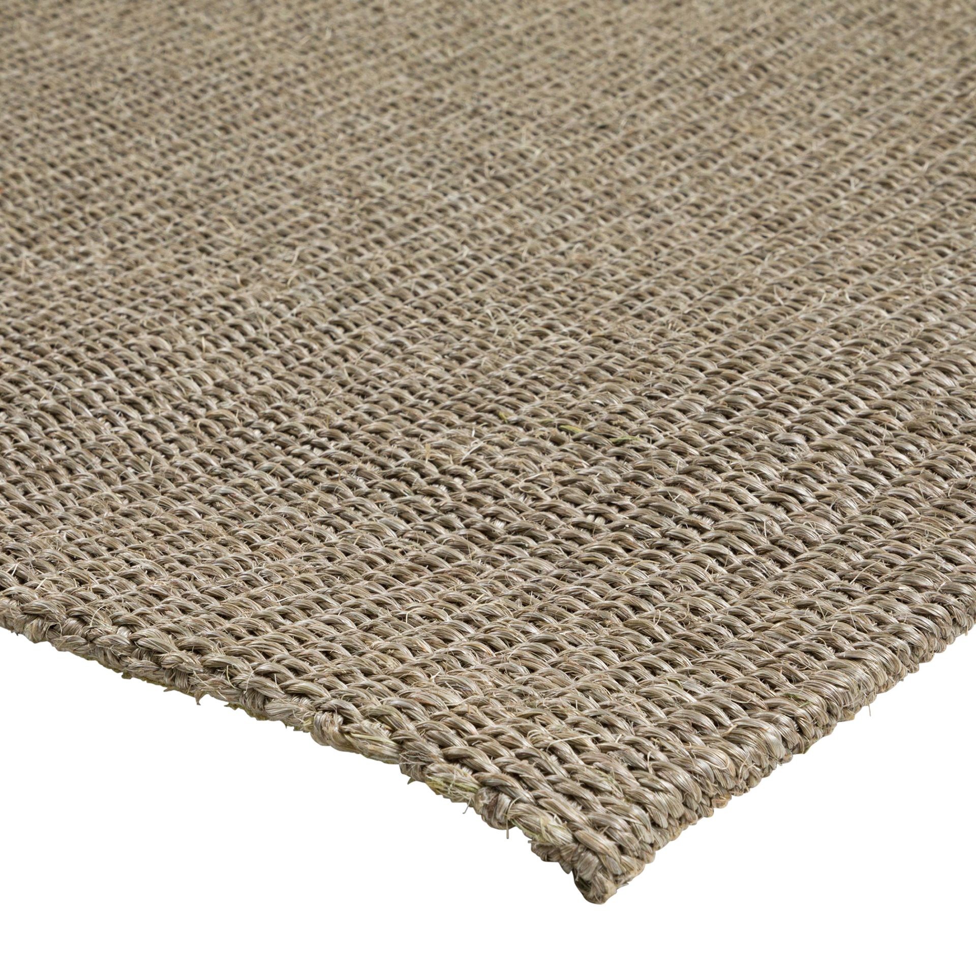 2-M-X-250-M-DAKAR-RHINOCERONTE-DAKAR-ST3