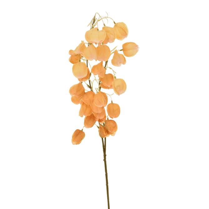 Flor Lanterns Flowers