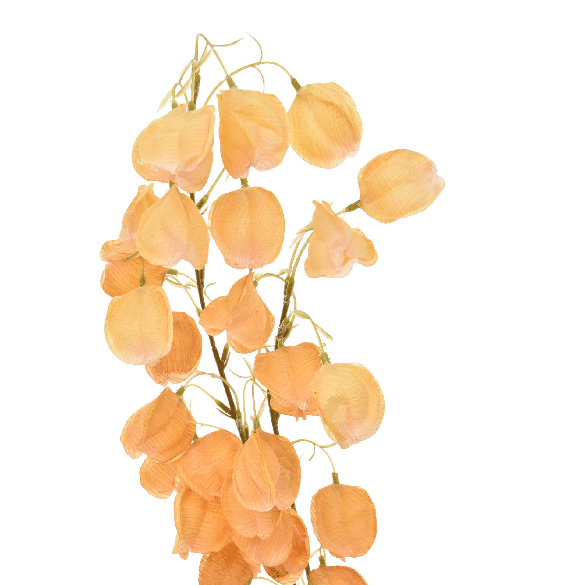 LANTERNS-FLOWERS-BEGE-LANTERNS-FLOWERS-ST1