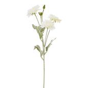 BOUTONS-DALIA-AMARELO-VERDE-BOUTONS-ST0