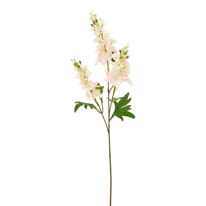 Flor Delphinium