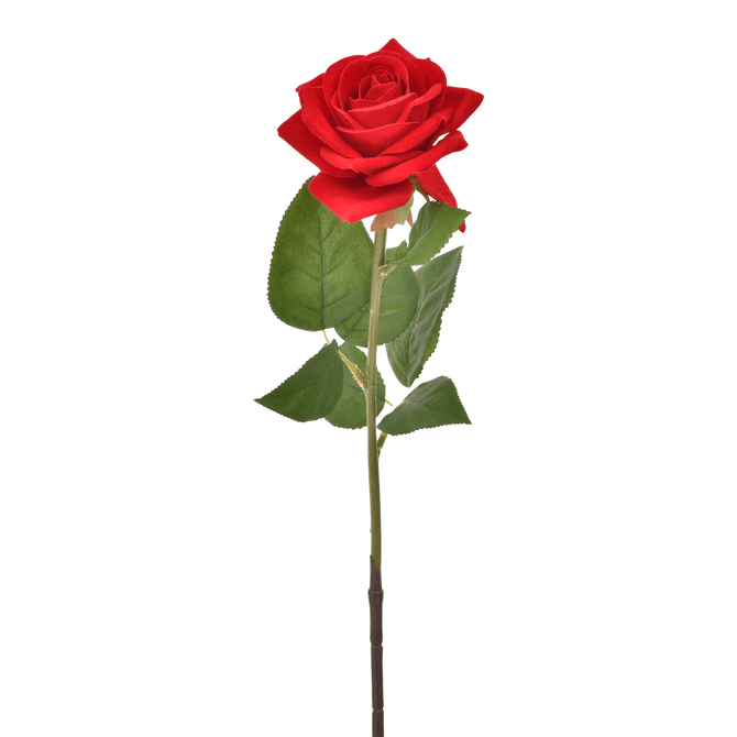 Flor Rosa