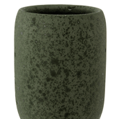 ESCOVA-PASTA-NOUR-MUSGO-NOUR-ST2