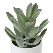 ARRANJO-DELICADA-BRANCO-VERDE-DELICADA_ST2