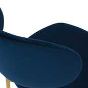 DAISY-OURO-GALAXY-BLUE-DAISY_ST6