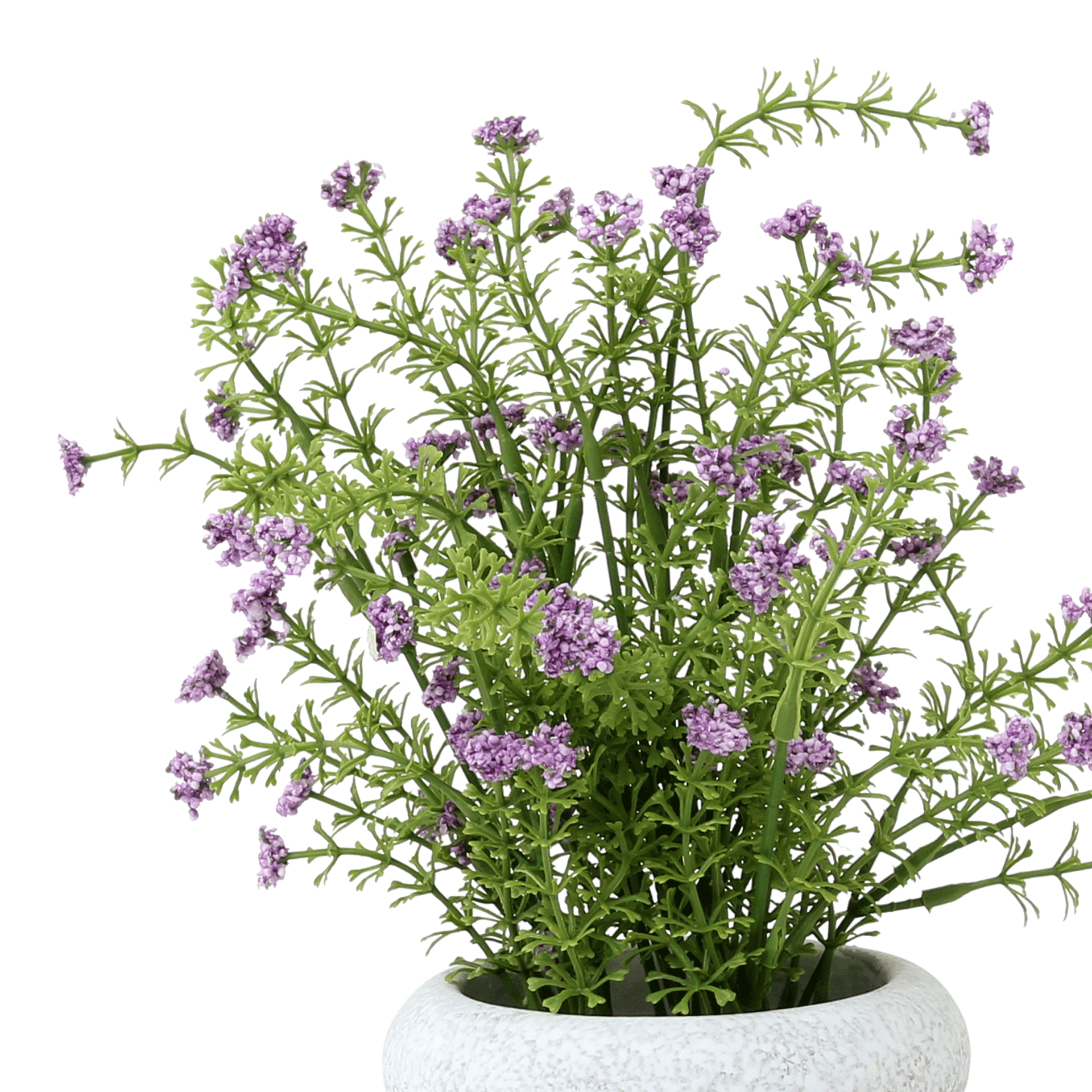 MOSQUITINHO-CINZA-LAVANDA-MOSQUITINHO_ST2