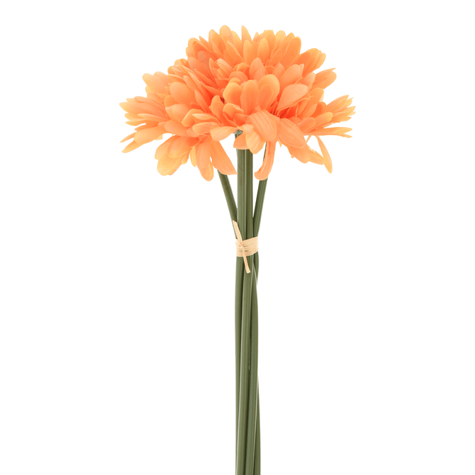 Flor Flower Bush