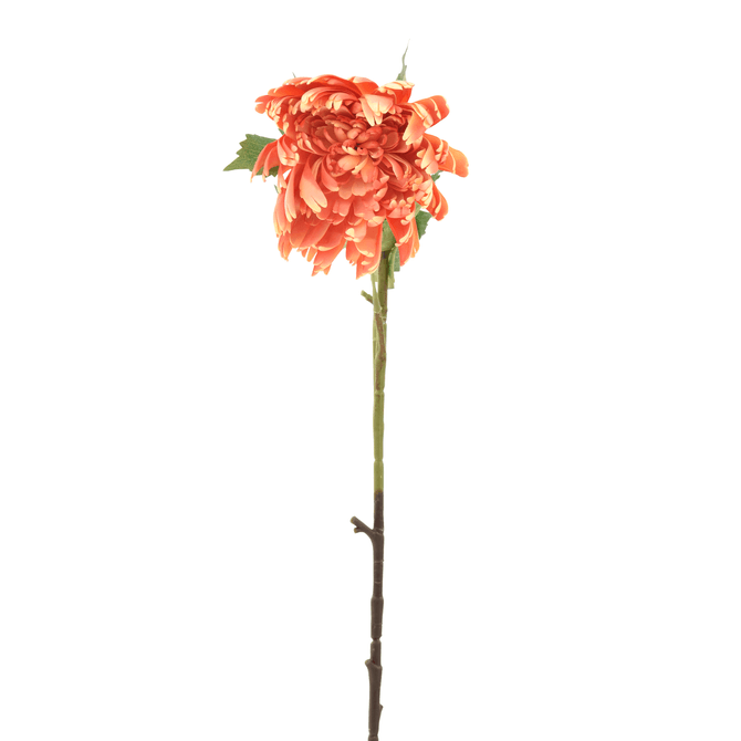 Flor Spring Spary