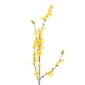 FORSITIA-AMARELO-VERDE-FORS-TIA_ST1