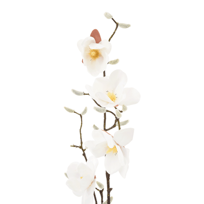 FLOR SUMAUMA
