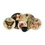 SOBREMESA-NATUREZA-I-ASAS-MULTICOR-NATUREZA_423361_AMB0