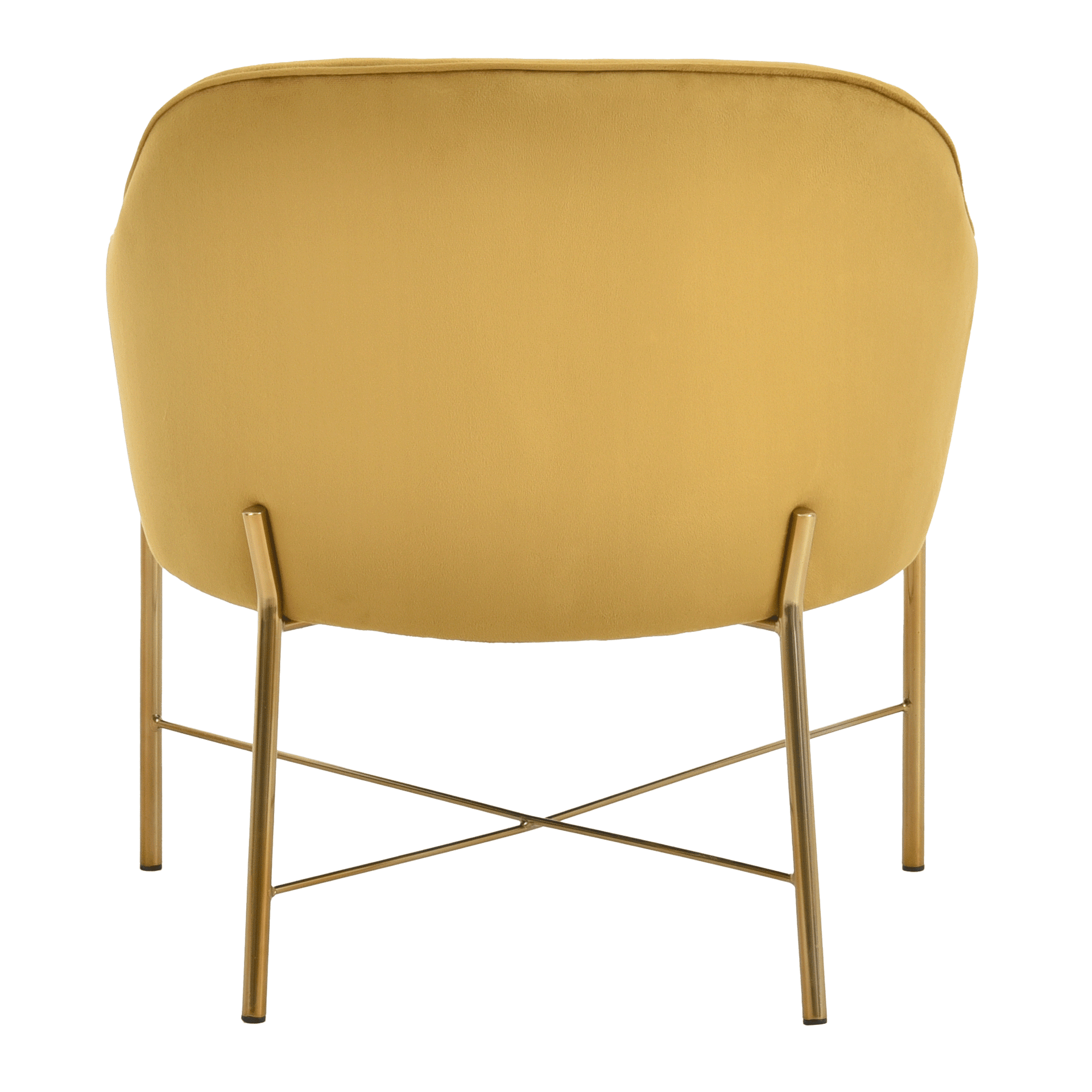 DAISY-OURO-DOURO-DAISY_ST4