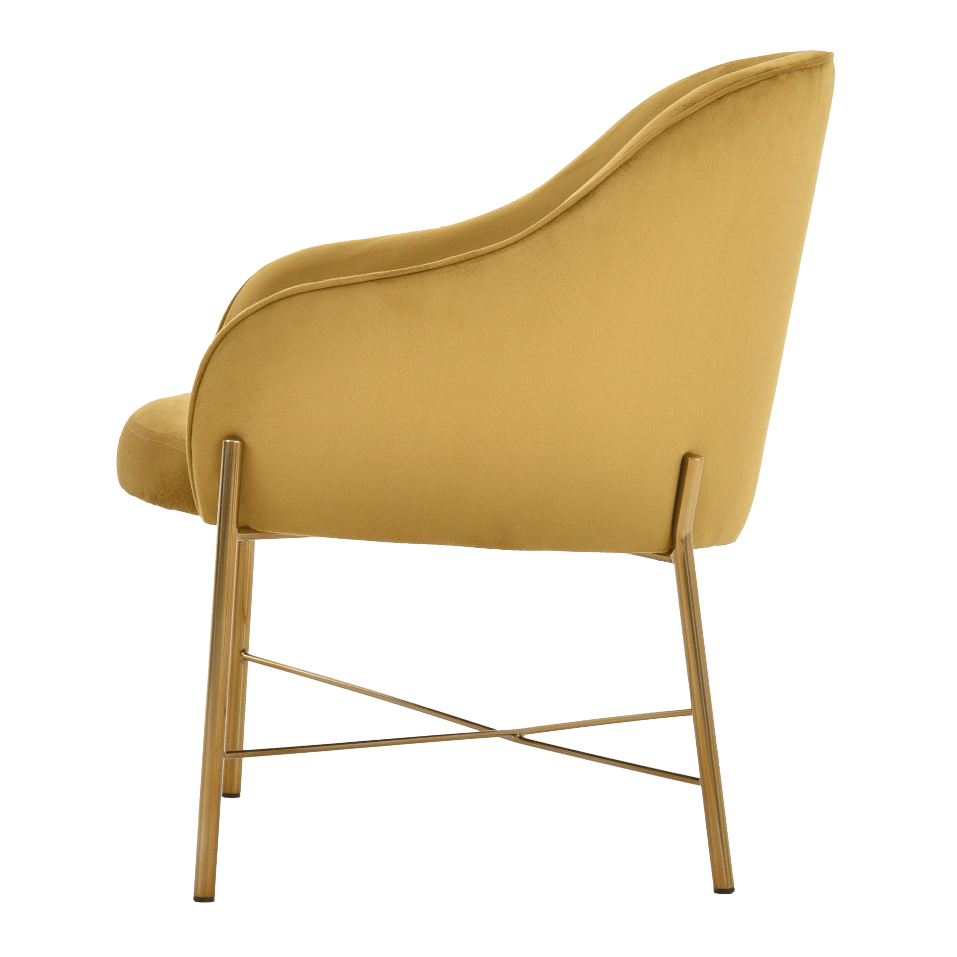 DAISY-OURO-DOURO-DAISY_ST2