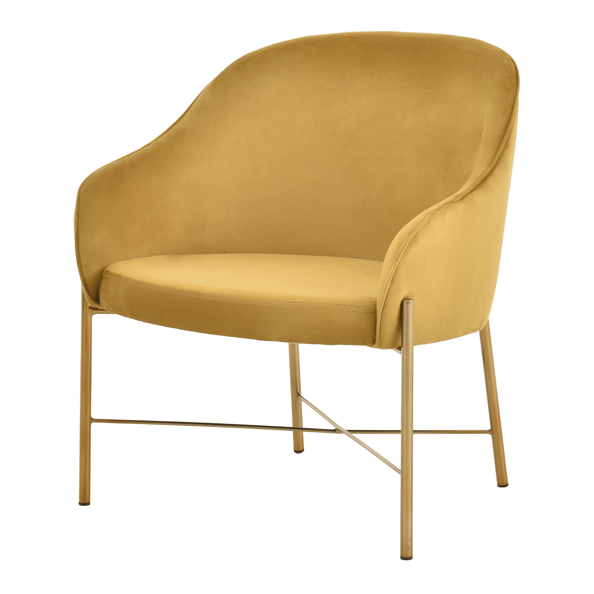 DAISY-OURO-DOURO-DAISY_ST1