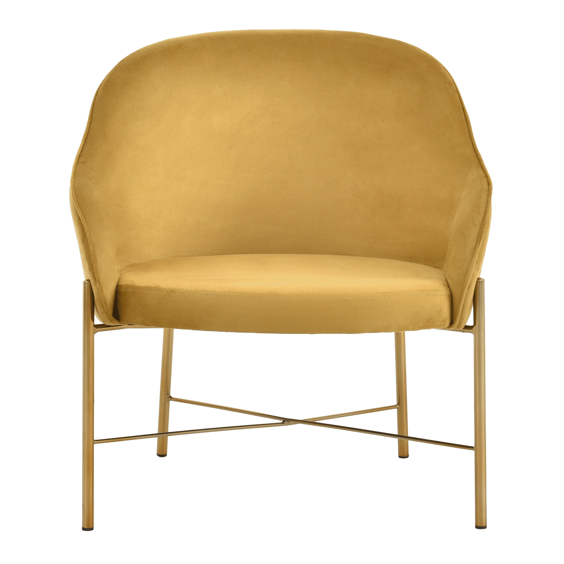 DAISY-OURO-DOURO-DAISY_ST0