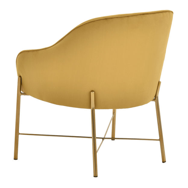 DAISY-OURO-DOURO-DAISY_ST3