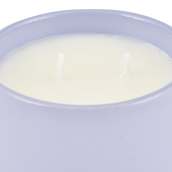 POTE-FESTA-DAS-LUZES-6-CM-MOUSSE-DE-JABUTICABA-ZIMBRO-FESTA-DAS-LUZES_ST2